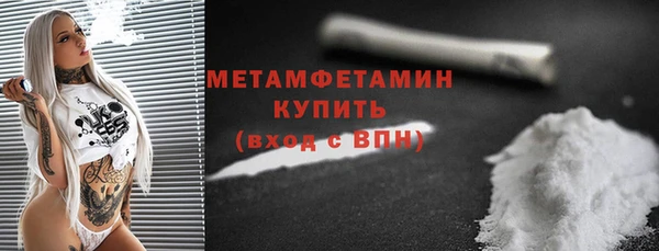 индика Медвежьегорск