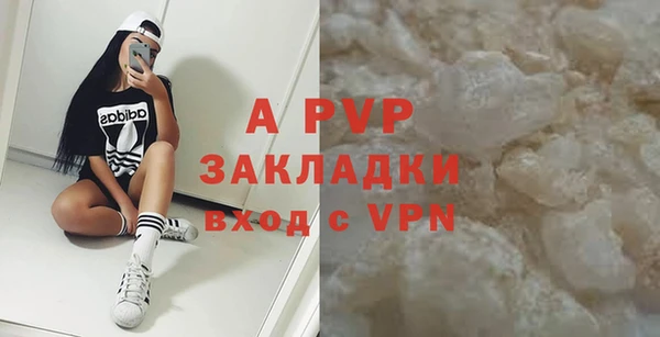 твердый Абаза