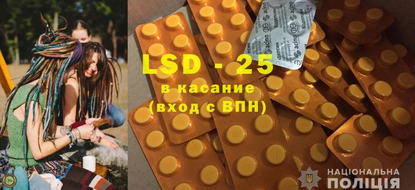 индика Медвежьегорск