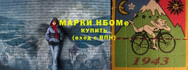 индика Медвежьегорск
